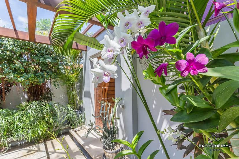 3-bedroom leasehold villa in Kerobokan — photo 5 of 5