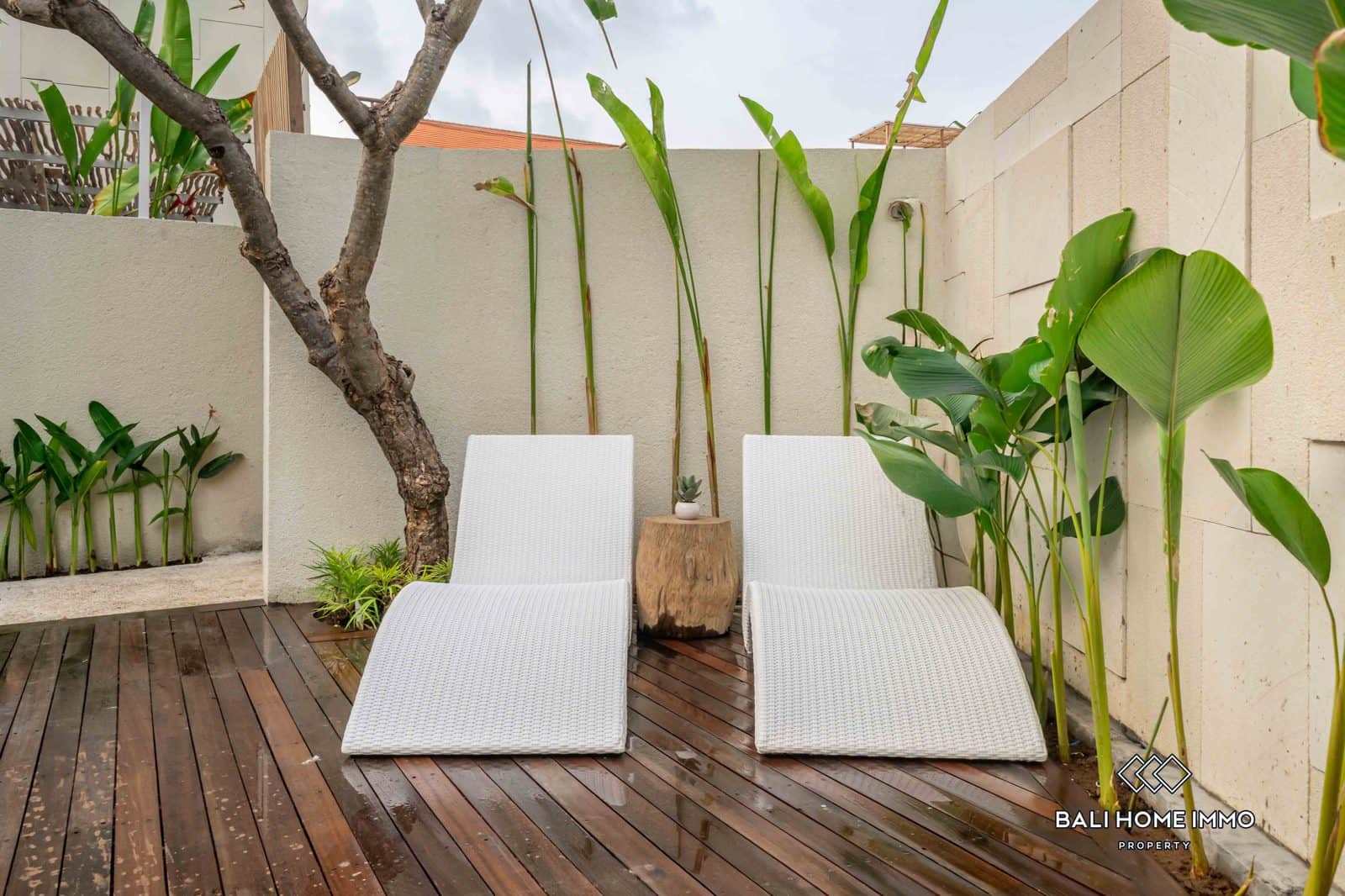 1-bedroom leasehold villa in Canggu — photo 4 of 5