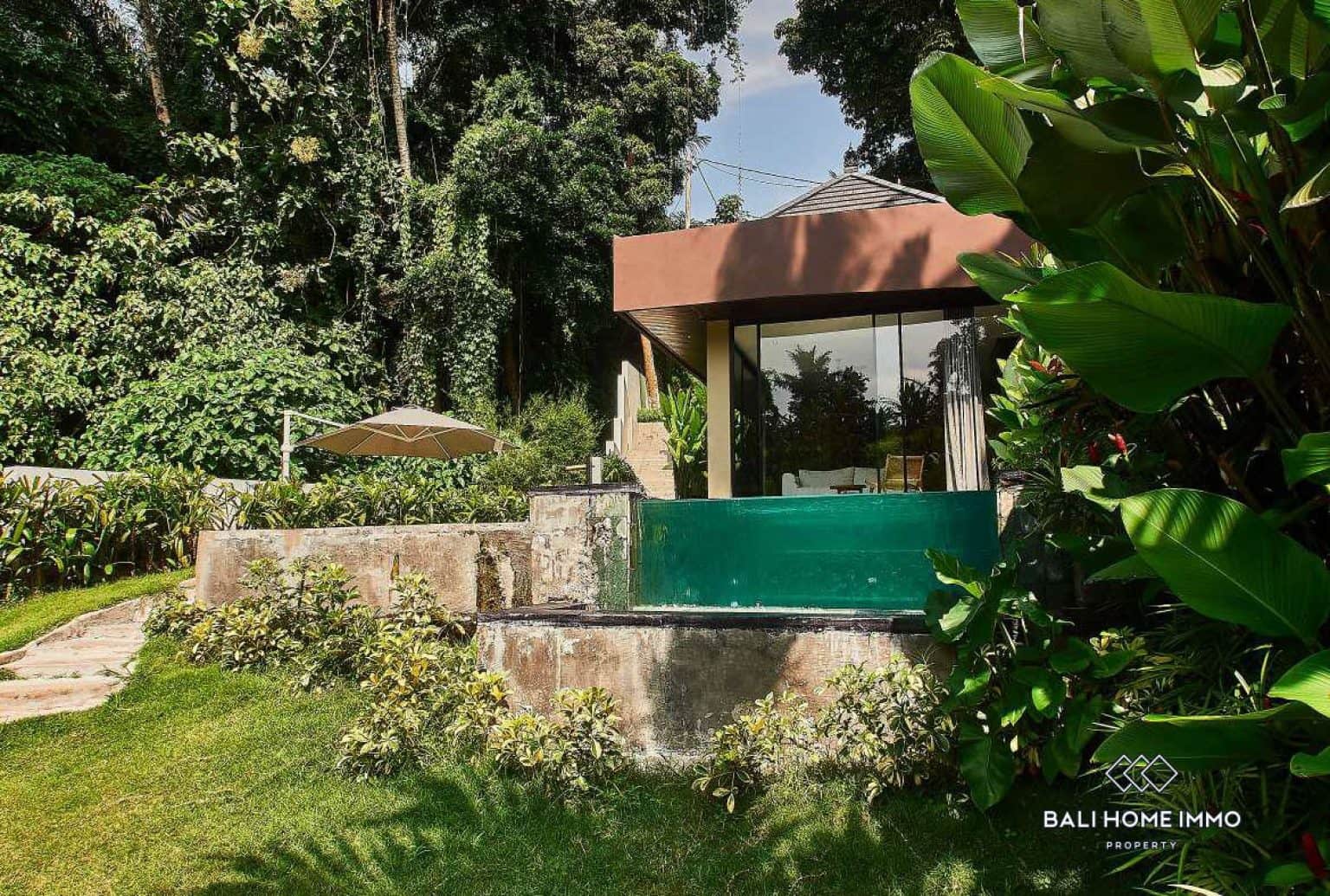 Brand new 1 Bedroom Modern Riverside Villa For Sale and Rent in Ubud Bali - RF4181A