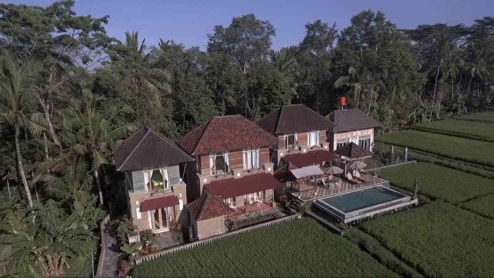 Amazing Villa Wonderful Rice Field View