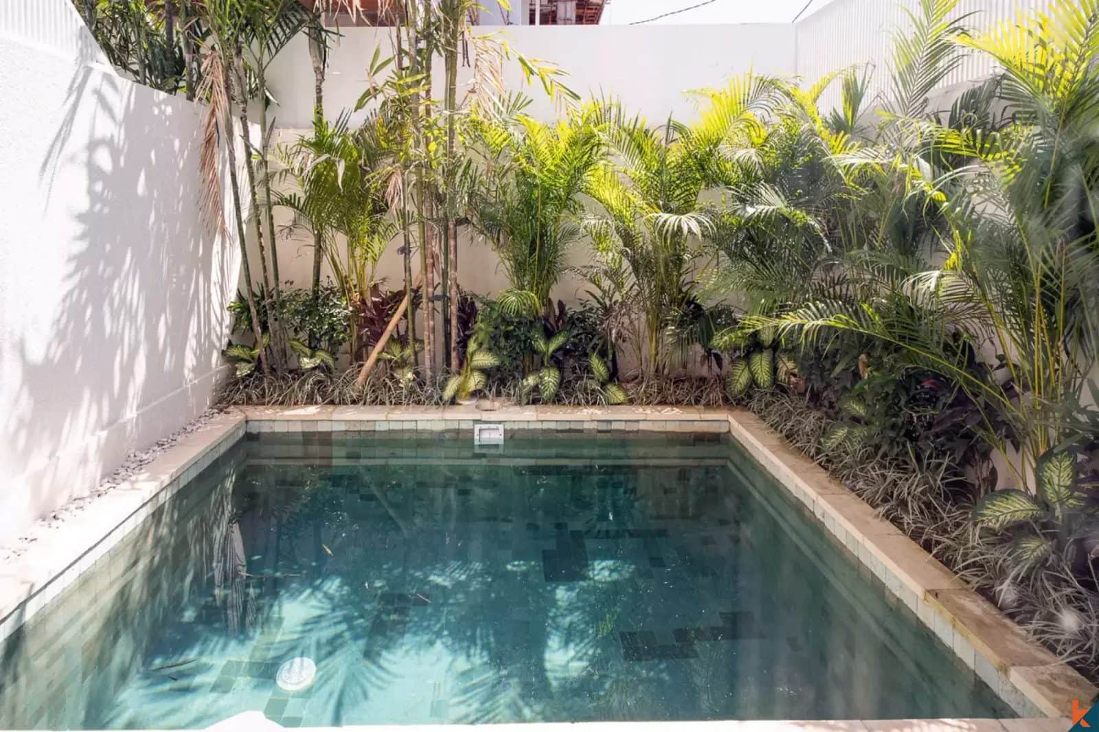 2-bedroom leasehold villa in Pererenan — photo 4 of 5