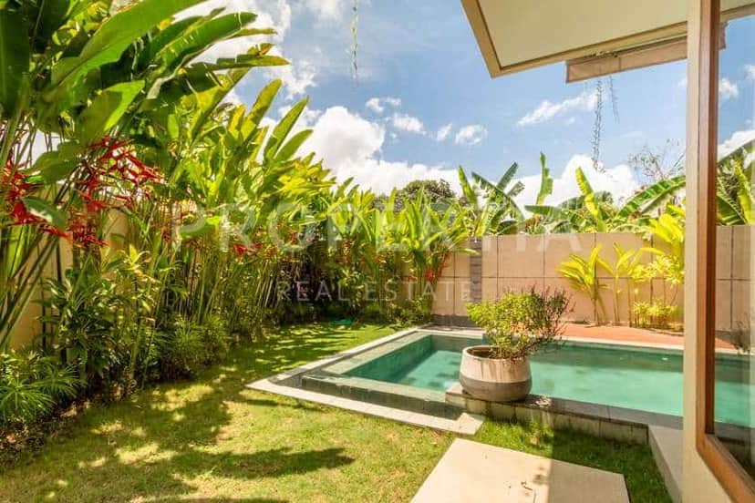3-bedroom leasehold villa in Canggu — photo 3 of 5