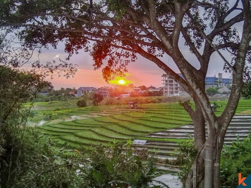 5-bedroom freehold villa in Umalas — photo 5 of 5