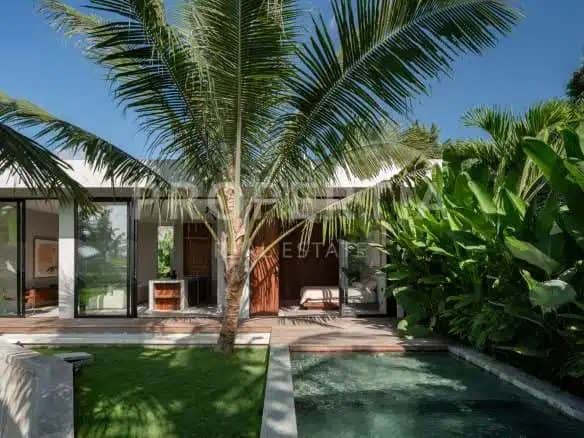 3-bedroom leasehold villa in Canggu — photo 5 of 5