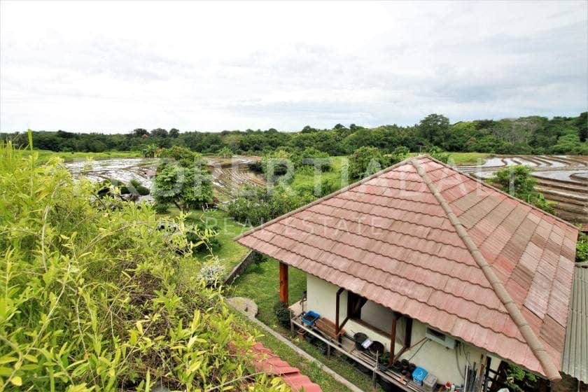 3-bedroom freehold villa in Tabanan — photo 5 of 5