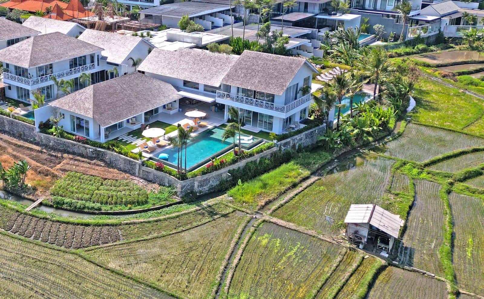 4-bedroom leasehold villa in Canggu — photo 2 of 5