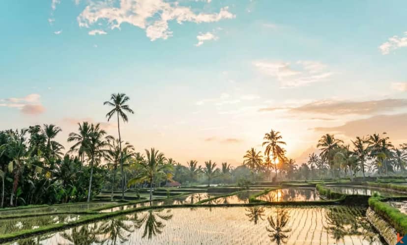 8-bedroom leasehold villa in Ubud — photo 3 of 5