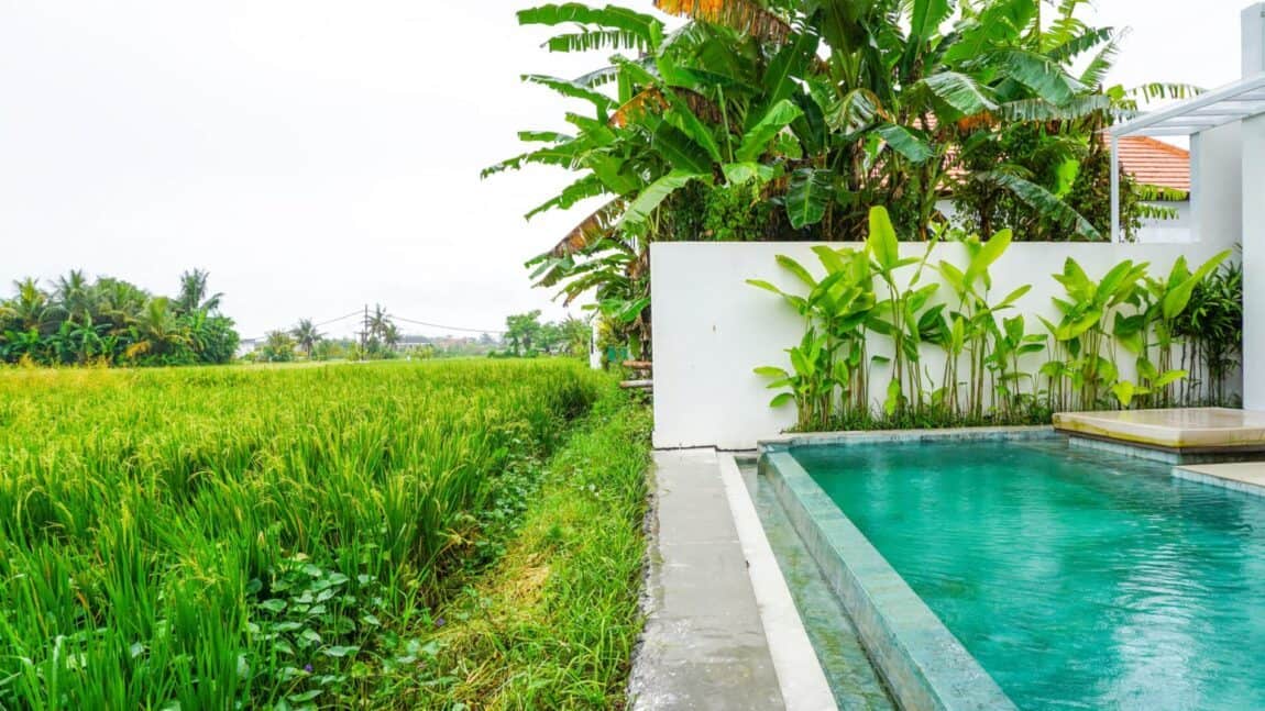 3-bedroom leasehold villa in Ubud — photo 4 of 5