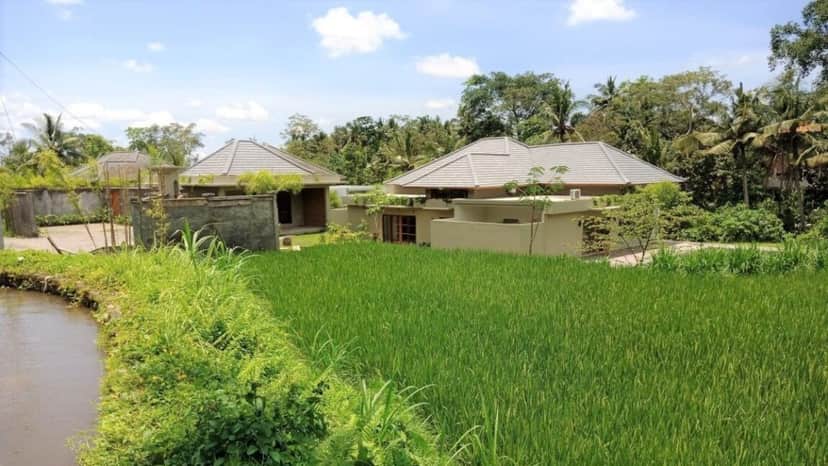 3-bedroom leasehold villa in Ubud — photo 4 of 5