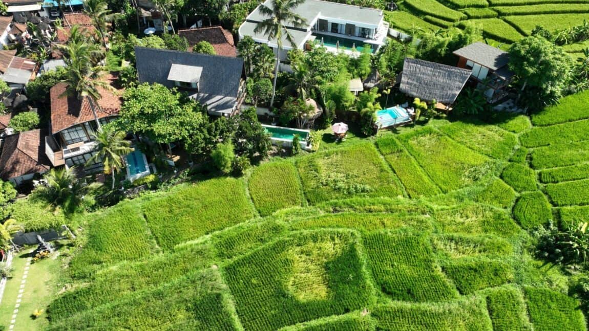 Exclusive Trio of Luxury Villas in Seseh, Bali – A Serene Family Retreat with Protected Greenzone Views