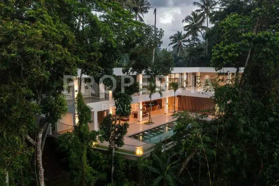 Exceptional Modern Jungle Villa in Ubud