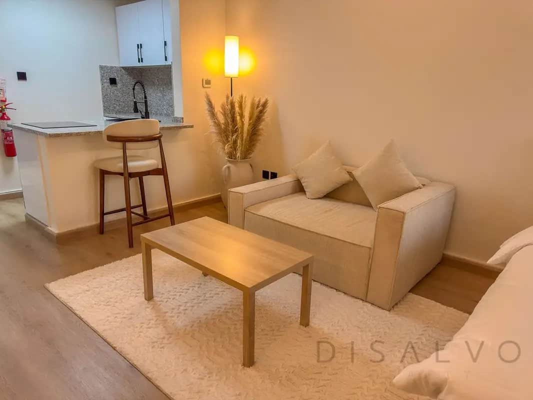 studio freehold apartment in Business Bay — photo 4 of 4