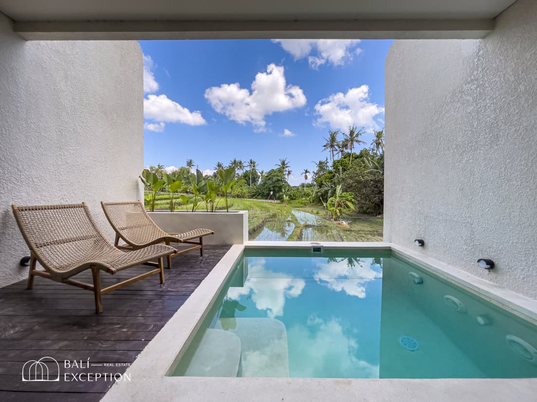 RICEFIELD VIEW 2 BEDROOM VILLA FOR SALE LEASEHOLD IN TUMBAK BAYUH BE-1220