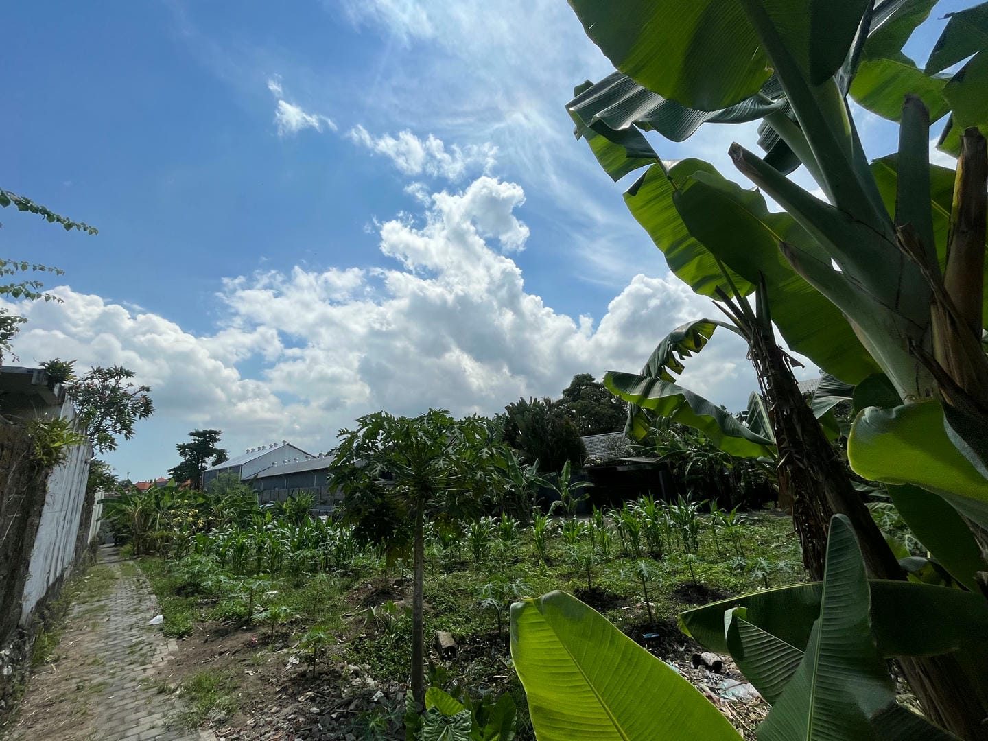 Offplan 3 Bedroom Villa for Sale Leasehold in Pecatu Be-3164