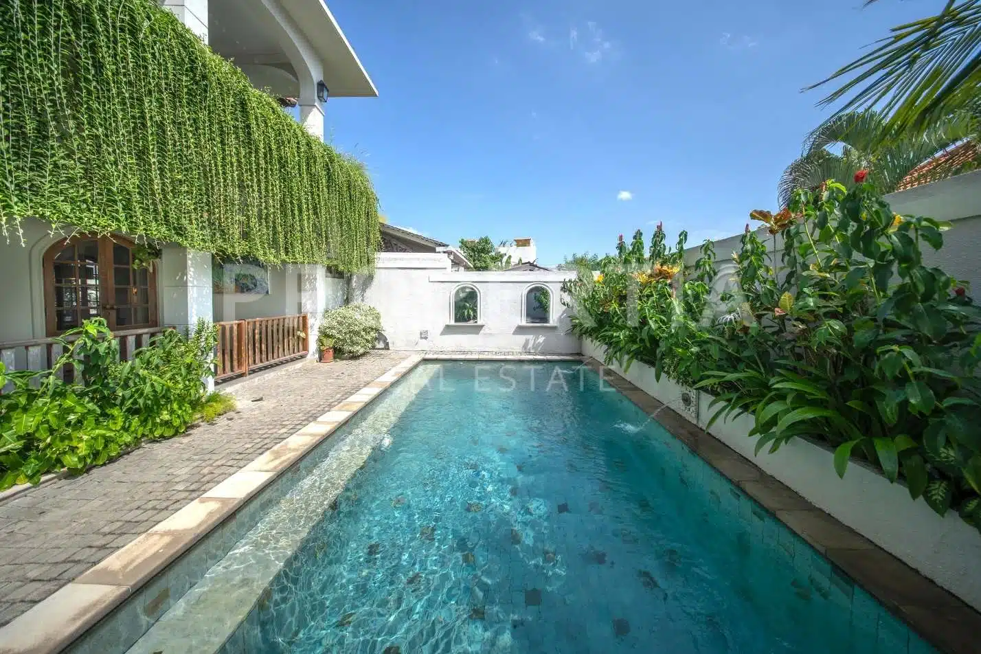 studio freehold villa in Canggu — photo 4 of 5