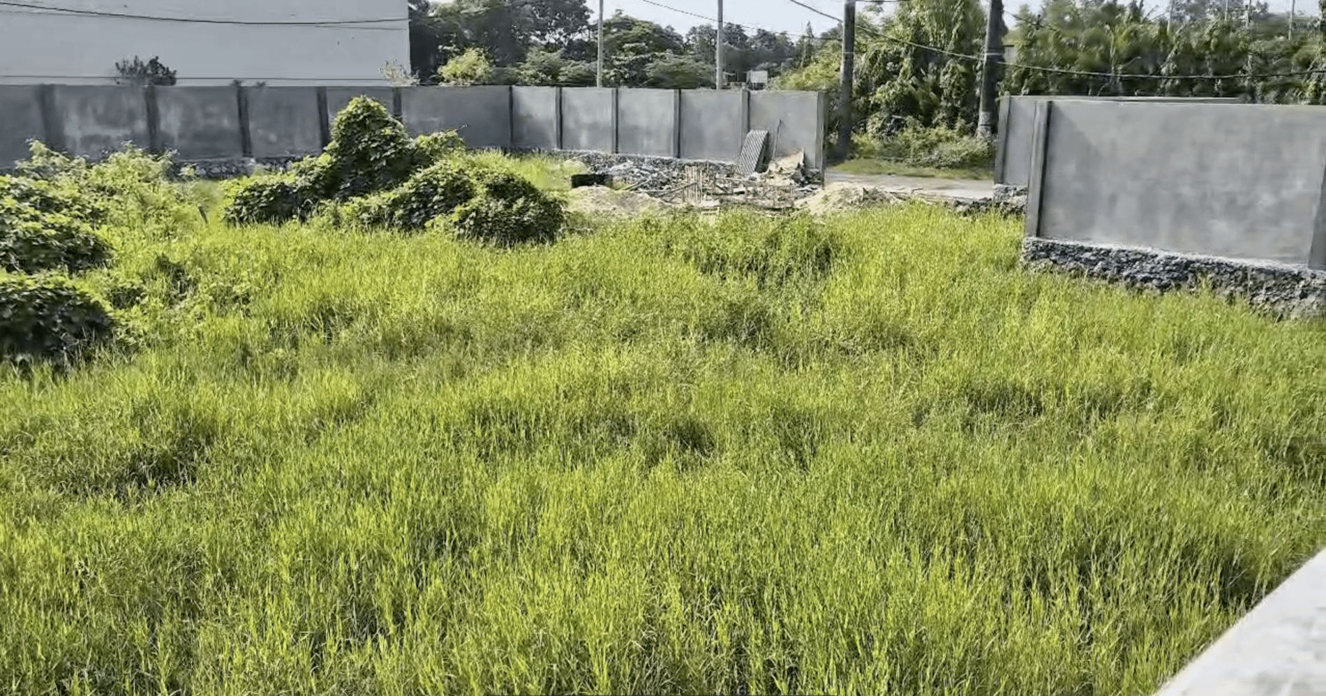 Untitled Property