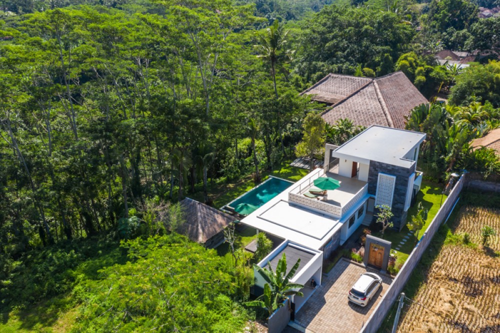 Brand New Three Bedrooms Modern Villa for Sale in Ubud