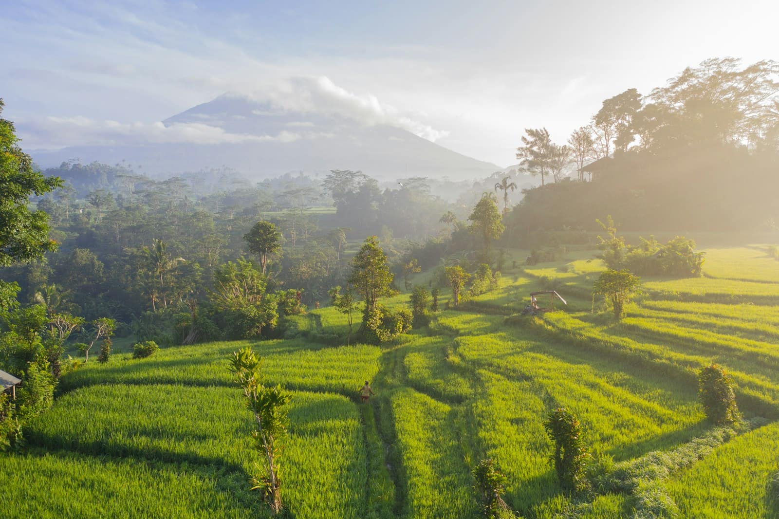 Bali S Airbnb Map In 2026 Which Areas Are And Where The Cover Bali Oversupply Areas 